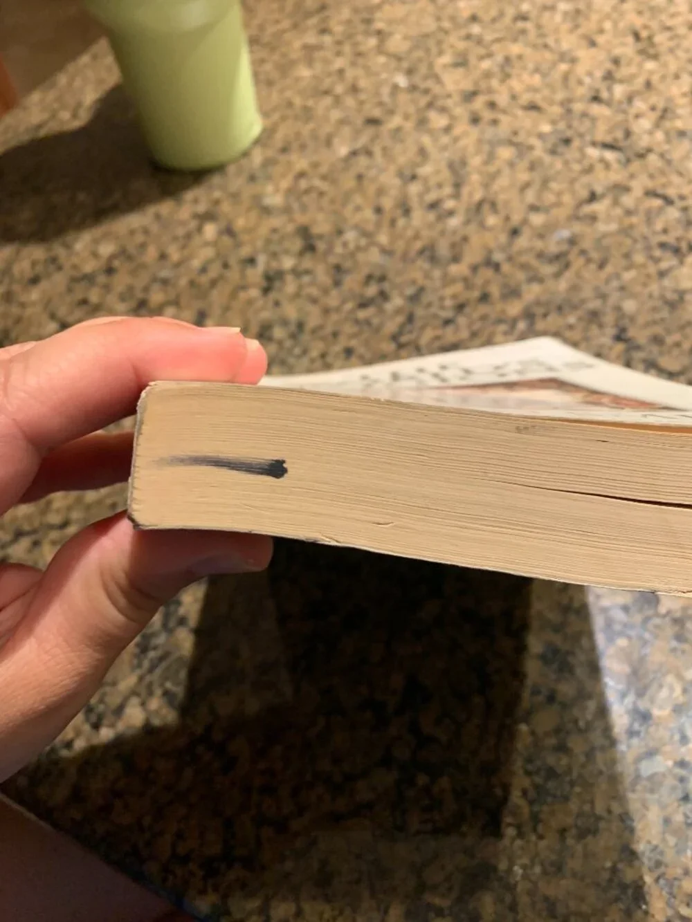 World's Religions by Huston Smith (1991, Trade Paperback).